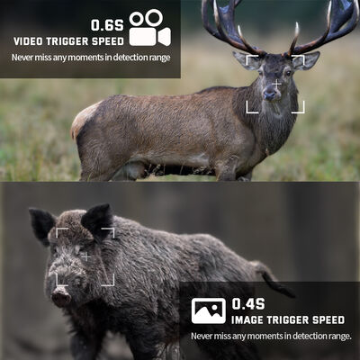 36MP 4K video trail camera up to 12 months battery life No-glow LED 100ft Night Range support white LED