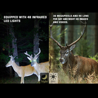 36MP 4K video trail camera up to 12 months battery life No-glow LED 100ft Night Range support white LED