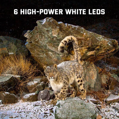 36MP 4K video trail camera up to 12 months battery life No-glow LED 100ft Night Range support white LED