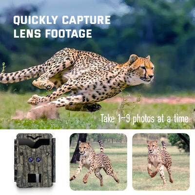 LCD Display Hunting Camera Featuring Maximum Video Size 1920 by 1080 Suitable for Outdoor Wildlife Tracking and Security
