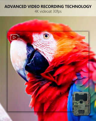 Stock Wireless WiFi Bluetooth Camera Mobile Trail Camera Ideal for Hunting Security and Wildlife Monitoring Applications