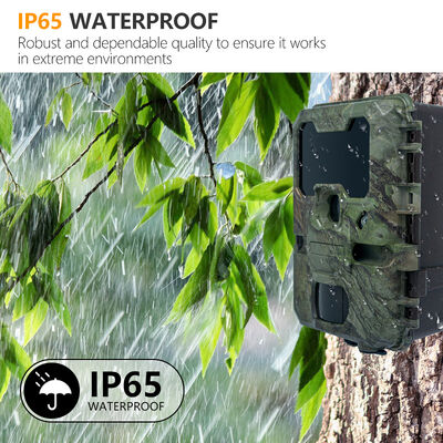 2 inch lcd hunting camera featuring 110×97×66mm size suitable for professional outdoor animal observation