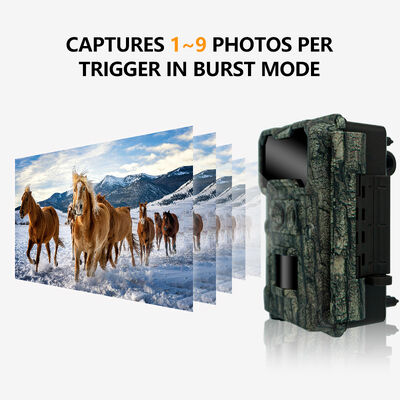 8 AA Batteries hunting camera integrated USB 2 0 connectivity providing power and fast data access for outdoor monitoring