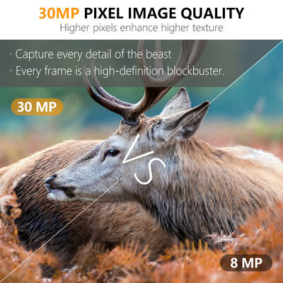8 AA Batteries hunting camera integrated USB 2 0 connectivity providing power and fast data access for outdoor monitoring