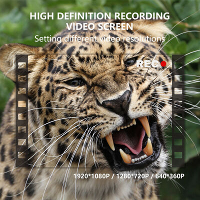8 AA Batteries hunting camera integrated USB 2 0 connectivity providing power and fast data access for outdoor monitoring