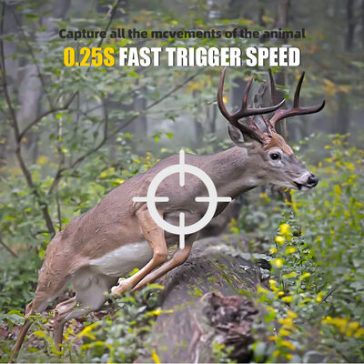 IP66 Waterproofrating Hunting camera featuring 24 inch screen infrared night vision for wildlife observation and security