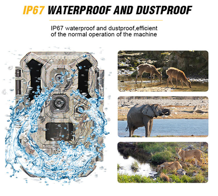 Infrared LEDs Wildlife Hunting Camera 30MP 1080P  IP66