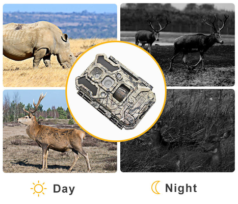 Infrared LEDs Wildlife Hunting Camera 30MP 1080P  IP66