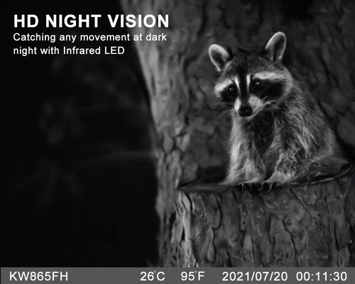 WIFI Outdoor Hunting Trail Camera With View Screen Mobile App