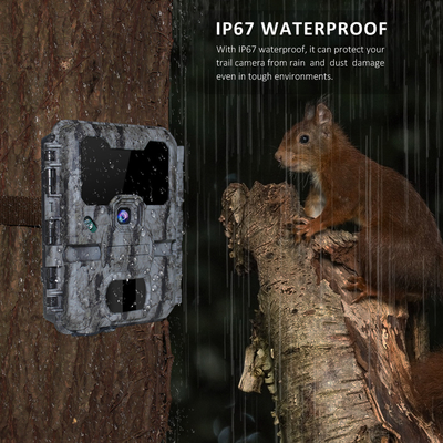 WIFI Outdoor Hunting Trail Camera With View Screen Mobile App