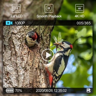 WIFI Outdoor Hunting Trail Camera With View Screen Mobile App