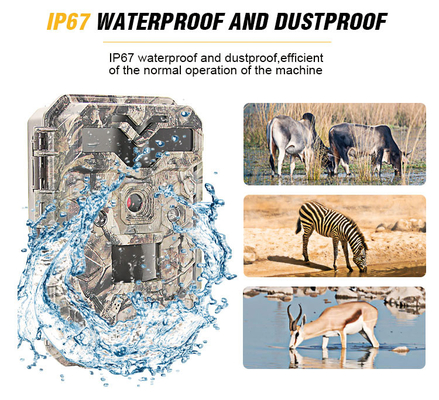 30MP 1080P HD Hunting Wildlife Trail Camera No Glow Infrared LEDs