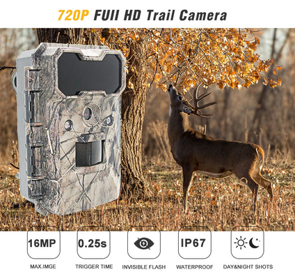 Trail Camera Security Surveillance Thermal Night Vision IP65 Low price Good quality