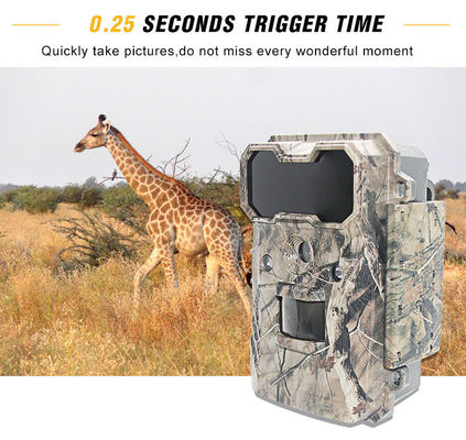 Motion Activated Wildlife Camera