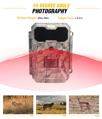 Motion Activated Wildlife Camera