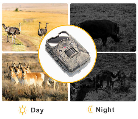 Motion Activated Wildlife Camera