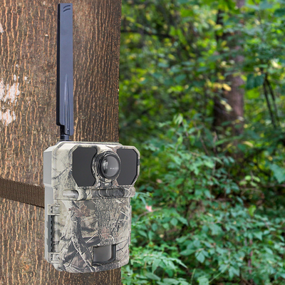 30MP APP NO GLOW CELLULAR GPS TRAIL CAMERA COLOR CAMO