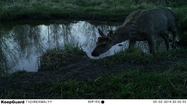 Small Day and Night Infrared Wildlife Camera Trail Game Cameras WEEE Approvals