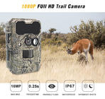 Animal Observation Deer Hunting Video Cameras 1920x1080P