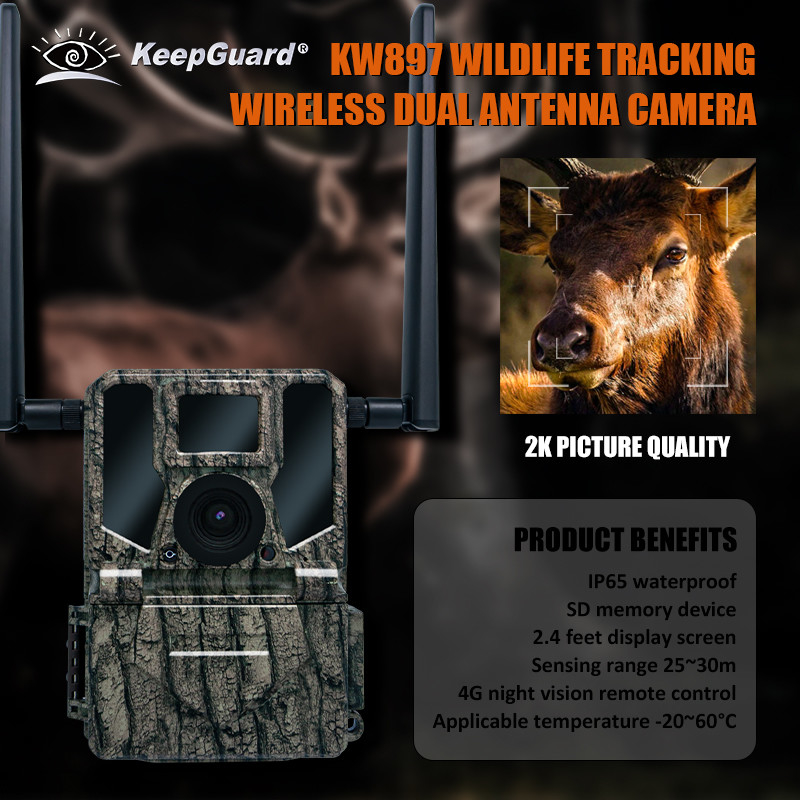 4G Wireless Trail Camera Hidden Camouflage KW897 with Dual Antennas Night Vision 36MP 2K Video for Deer Hunting