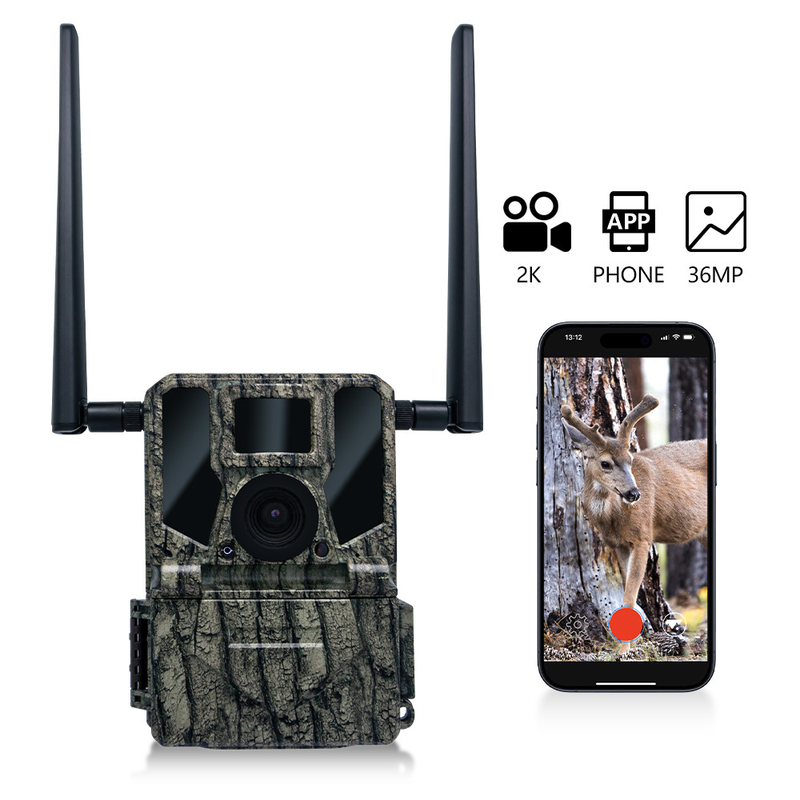 4G cellular wireless hunting camera KW897 built in SIM card 36MP capture 2K video with 30fps with dual antennas for wildlife