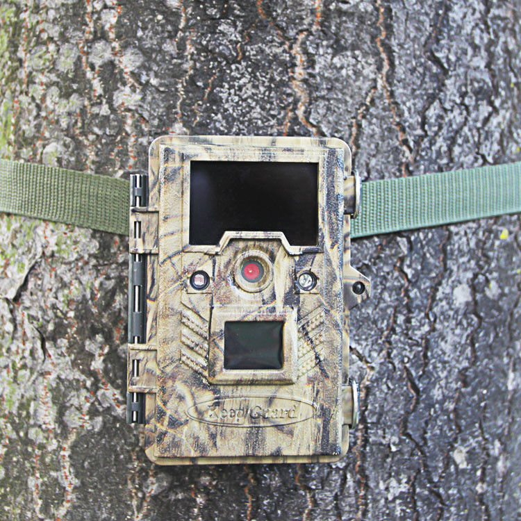 Hunting Digital Wildlife Camera , Infrared Hunting Camera That Camera Trap
